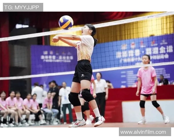 广州排球队比赛经验引发热议球迷对战术选择和选手表现展开激烈讨论