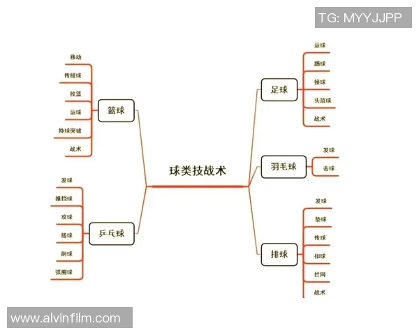 排球专题：深入分析西安排球队的战术配合与团队协作技巧