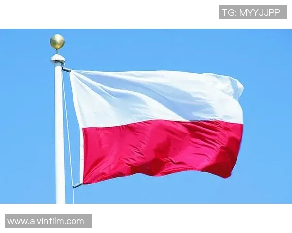 足球明星文艺复兴:重塑绿茵场上的艺术与激情之旅 足球明星文艺复兴:重塑绿茵场上的艺术与激情之旅