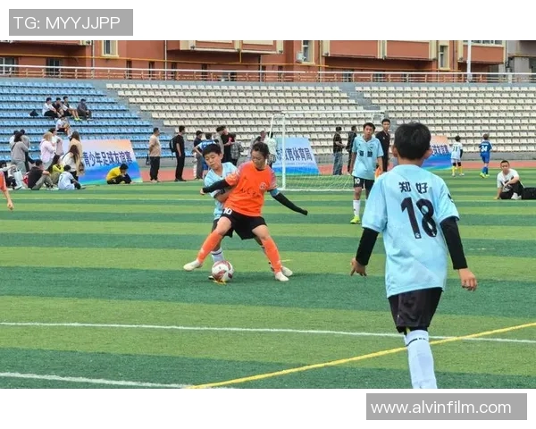 足球明星赴朝鲜展现友谊与体育精神引发全球关注与热议 足球明星赴朝鲜展现友谊与体育精神引发全球关注与热议