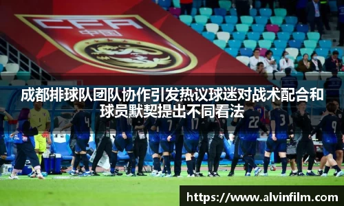 成都排球队团队协作引发热议球迷对战术配合和球员默契提出不同看法